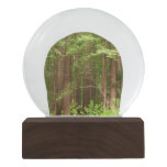 Redwood Trees at Muir Woods National Monument Snow Globe