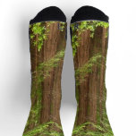 Redwood Trees at Muir Woods National Monument Socks