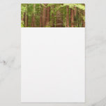 Redwood Trees at Muir Woods National Monument Stationery