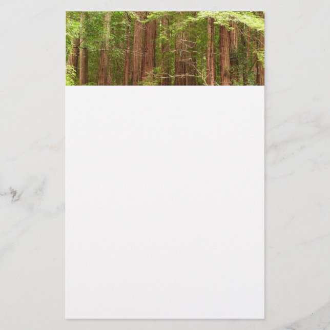 Redwood Trees at Muir Woods National Monument Stationery (Front)