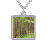 Redwood Trees at Muir Woods National Monument Sterling Silver Necklace