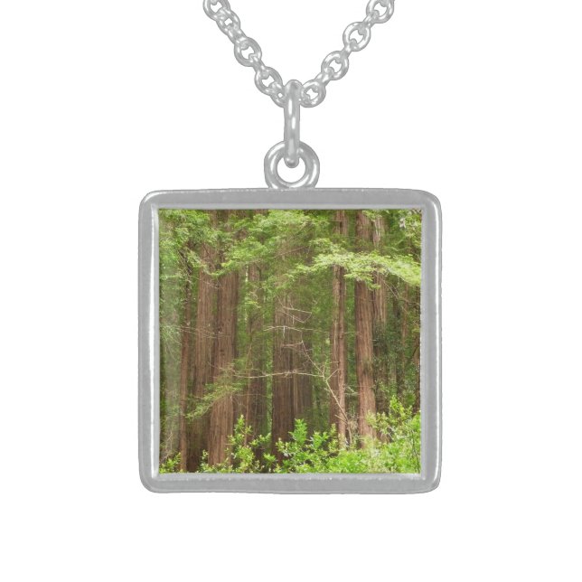 Redwood Trees at Muir Woods National Monument Sterling Silver Necklace (Front)