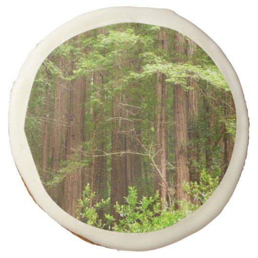 Redwood Trees at Muir Woods National Monument Sugar Cookie (Front)