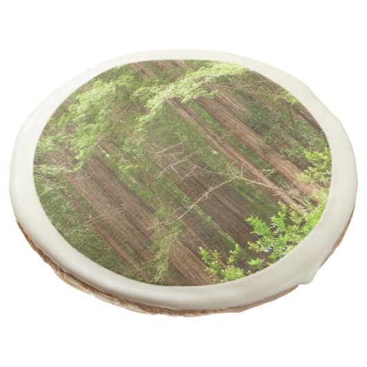 Redwood Trees at Muir Woods National Monument Sugar Cookie (Angled)