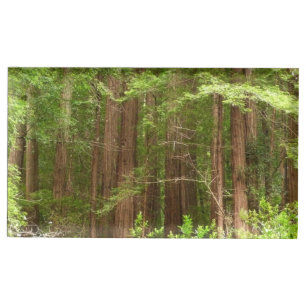 Redwood Trees at Muir Woods National Monument Table Card Holder