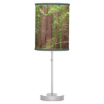 Redwood Trees at Muir Woods National Monument Table Lamp