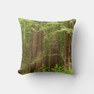 Redwood Trees at Muir Woods National Monument Throw Pillow
