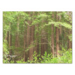 Redwood Trees at Muir Woods National Monument Tissue Paper