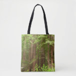 Redwood Trees at Muir Woods National Monument Tote Bag