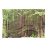 Redwood Trees at Muir Woods National Monument Towel