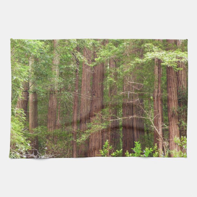 Redwood Trees at Muir Woods National Monument Towel (Horizontal)