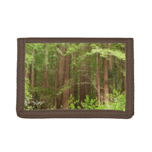 Redwood Trees at Muir Woods National Monument Tri-fold Wallet