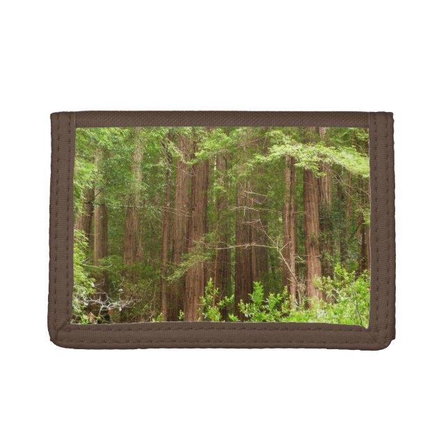 Redwood Trees at Muir Woods National Monument Trifold Wallet (Front)