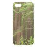 Redwood Trees at Muir Woods National Monument iPhone SE/8/7 Case