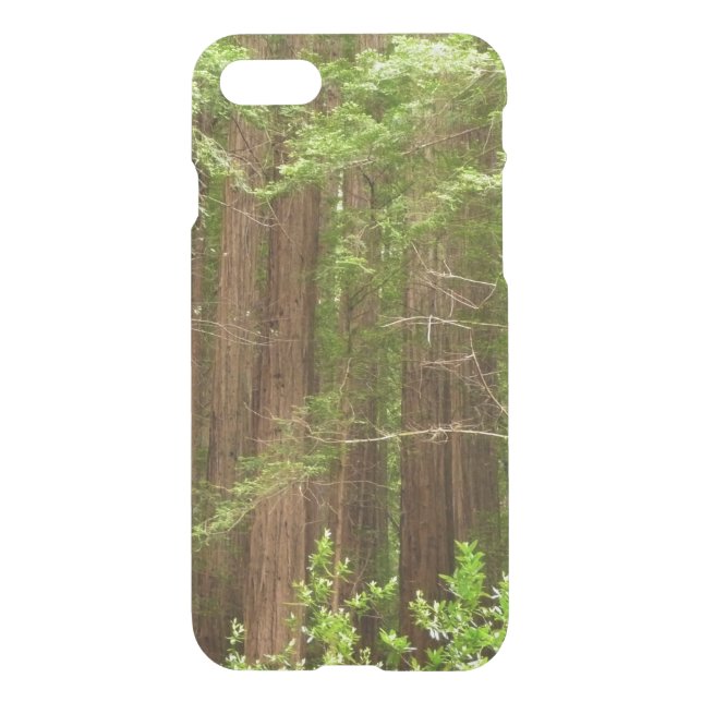 Redwood Trees at Muir Woods National Monument Uncommon iPhone Case (Back)