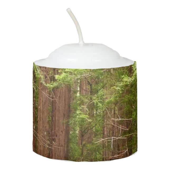 Redwood Trees at Muir Woods National Monument Votive Candle (Front)