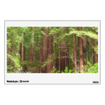 Redwood Trees at Muir Woods National Monument Wall Decal