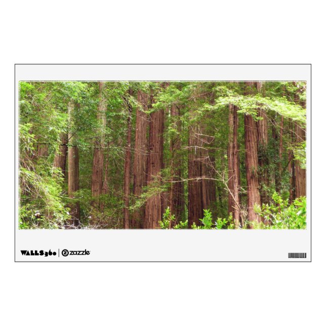 Redwood Trees at Muir Woods National Monument Wall Decal (Front)