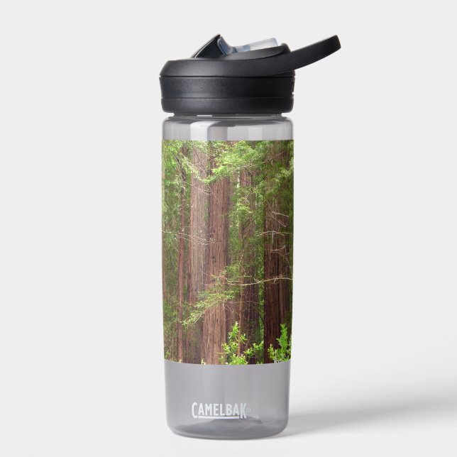 Redwood Trees at Muir Woods National Monument Water Bottle (Left)