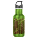 Redwood Trees at Muir Woods National Monument Water Bottle