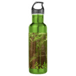 Redwood Trees at Muir Woods National Monument Water Bottle