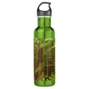 Redwood Trees at Muir Woods National Monument Water Bottle