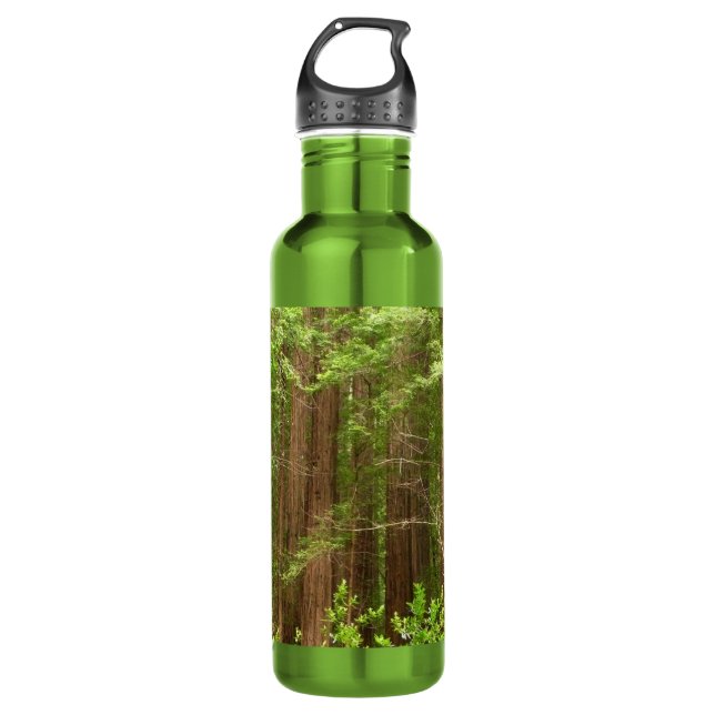 Redwood Trees at Muir Woods National Monument Water Bottle (Front)