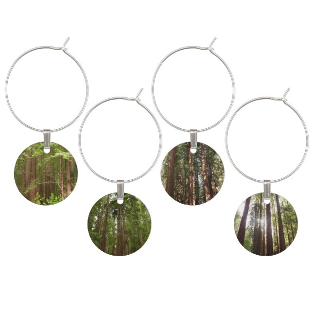 Redwood Trees at Muir Woods National Monument Wine Charm (Staggered)