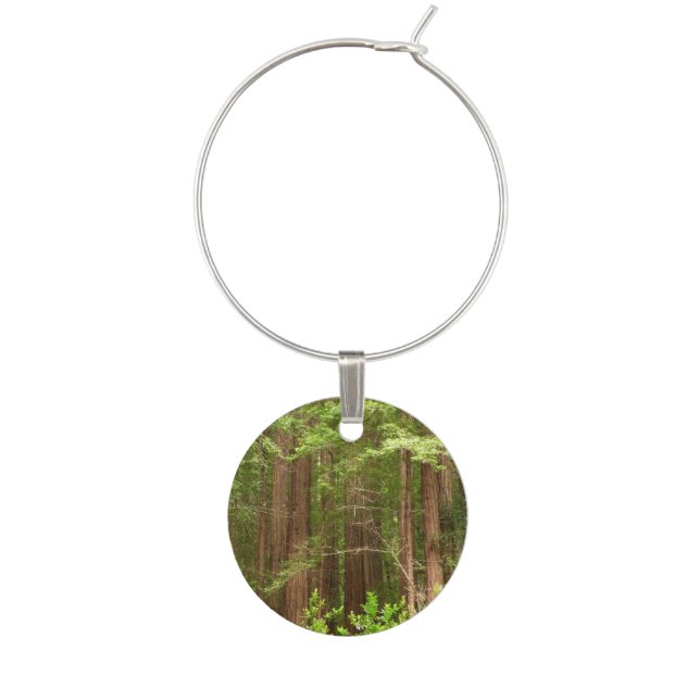 Redwood Trees at Muir Woods National Monument Wine Charm (Front)