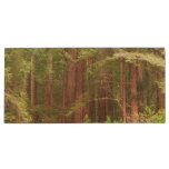 Redwood Trees at Muir Woods National Monument Wood Flash Drive