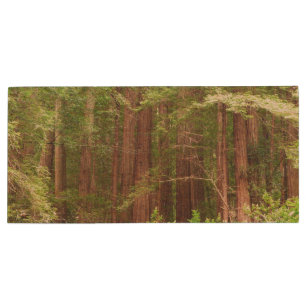 Redwood Trees at Muir Woods National Monument Wood Flash Drive