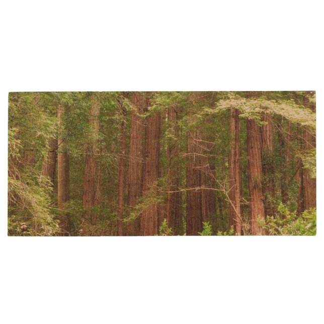 Redwood Trees at Muir Woods National Monument Wood Flash Drive (Back)