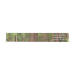 Redwood Trees at Muir Woods National Monument Wrap Around Label