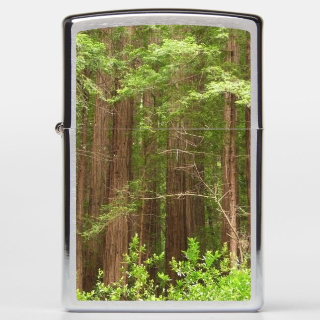 Redwood Trees at Muir Woods National Monument Zippo Lighter (Front)