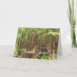 Redwood Trees at Muir Woods Thank You Card