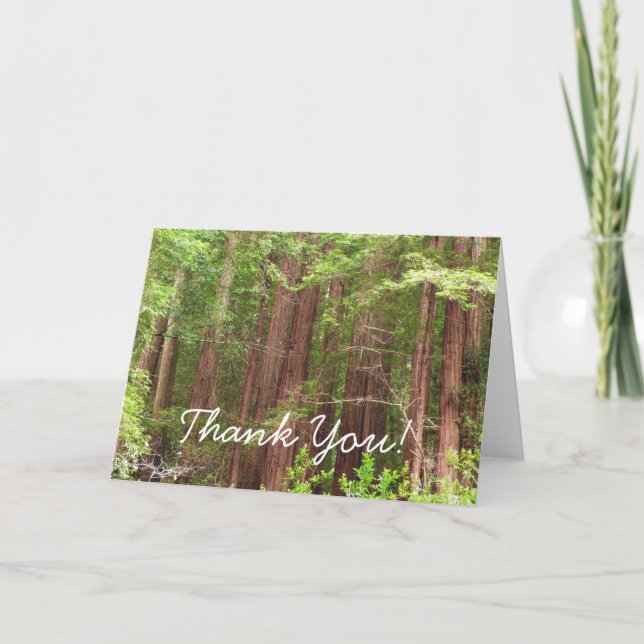 Redwood Trees at Muir Woods Thank You Card (Front)