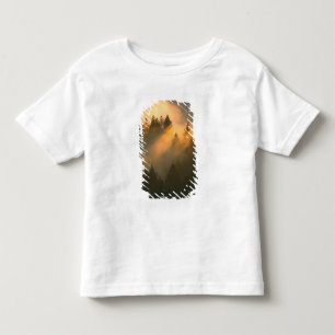 Redwood trees in coastal fog, Marin County, Toddler T-shirt