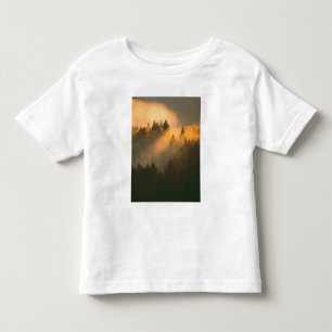 Redwood trees in coastal fog, Marin County, Toddler T-shirt