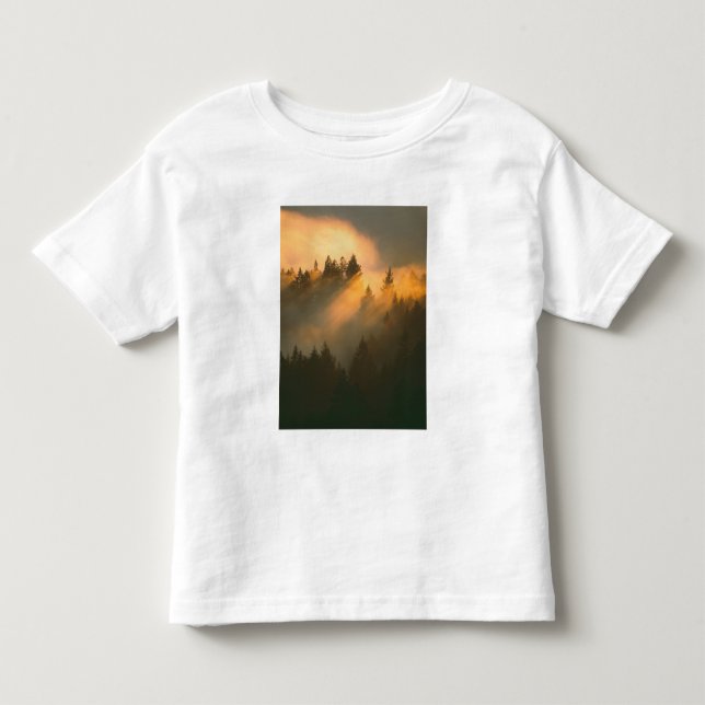 Redwood trees in coastal fog, Marin County, Toddler T-shirt (Front)