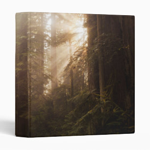 Redwood Trees in Morning Fog with Sunrays 3 Ring Binder