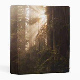 Redwood Trees in Morning Fog with Sunrays Mini Binder