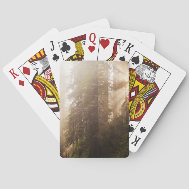 Redwood Trees in Morning Fog with Sunrays Poker Cards (Back)