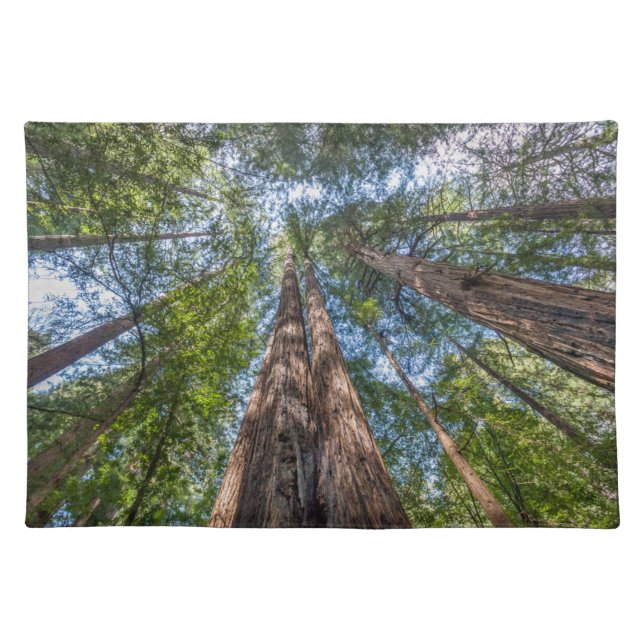 Redwood Trees | Marin County, California Cloth Placemat (Front)