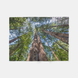 Redwood Trees Marin County, California Fleece Blanket