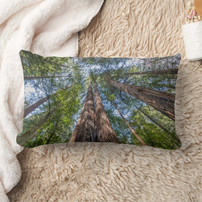 Redwood Trees | Marin County, California Lumbar Pillow (Blanket)