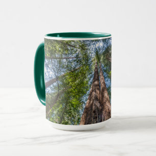 Redwood Trees Marin County, California Mug