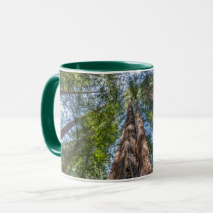 Redwood Trees Marin County, California Mug