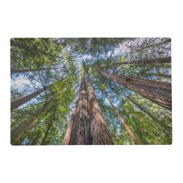 Redwood Trees | Marin County, California Placemat (Front)