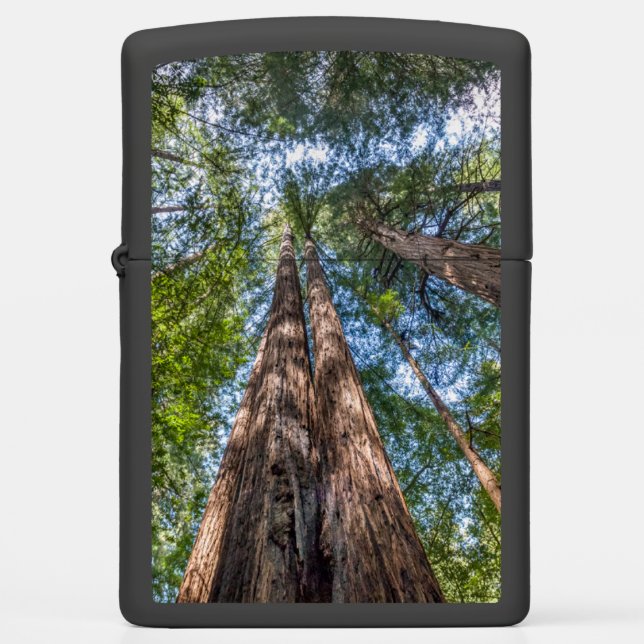 Redwood Trees | Marin County, California Zippo Lighter (Front)