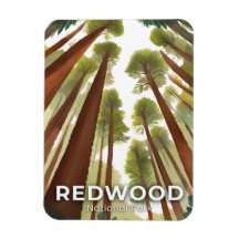 Redwood Trees | National Park Watercolor Travel